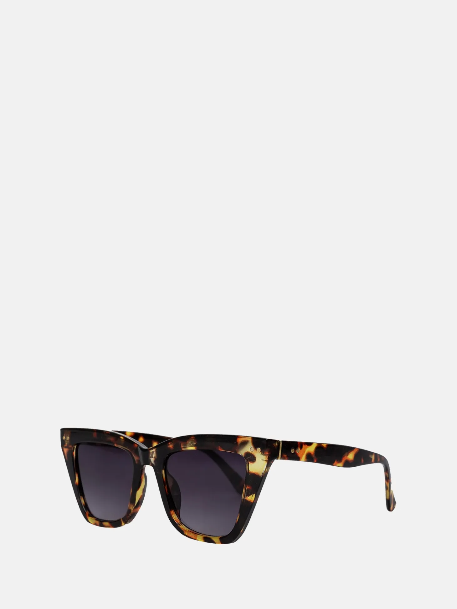 bondy__tortoise_1.webp Bondy - Tortoise