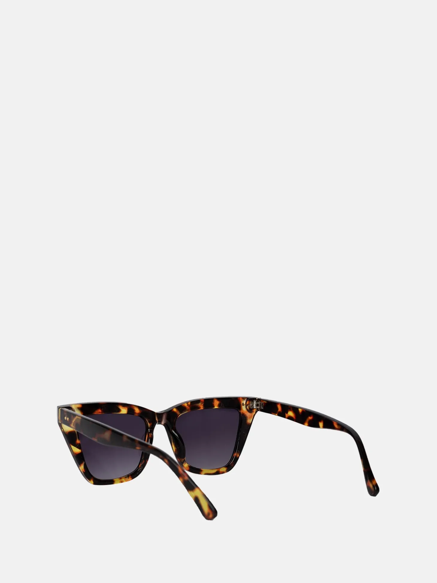 bondy__tortoise_2.webp Bondy - Tortoise